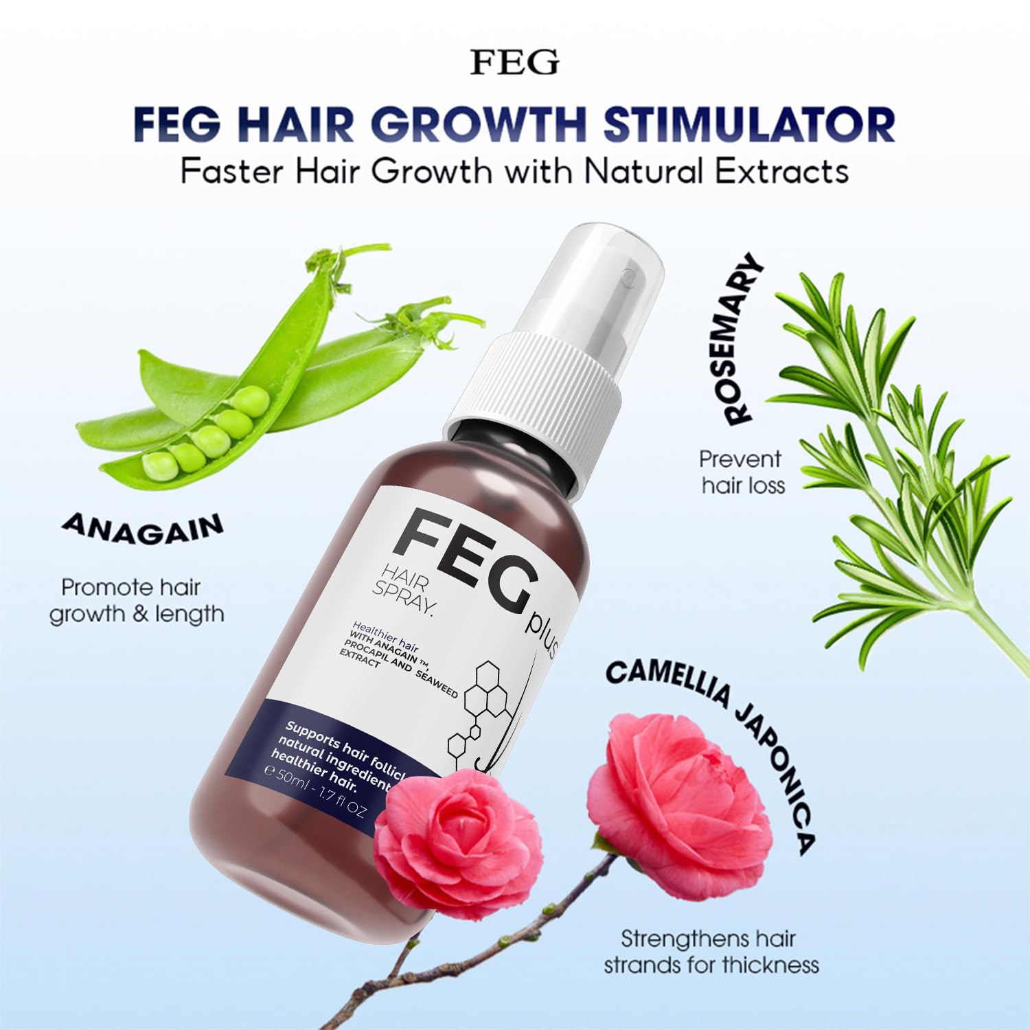 FEG Plus Hair Spray 🅱 - My Store